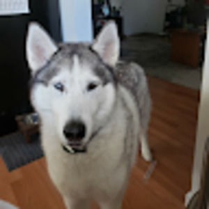 Meet your Posher, Emma